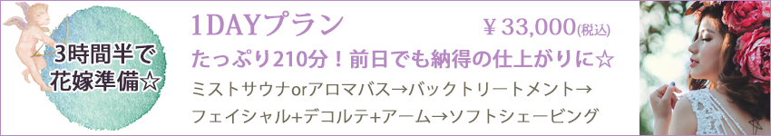 南越谷　ブライダルエステ　1日