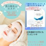 山野愛子どろんこ美容