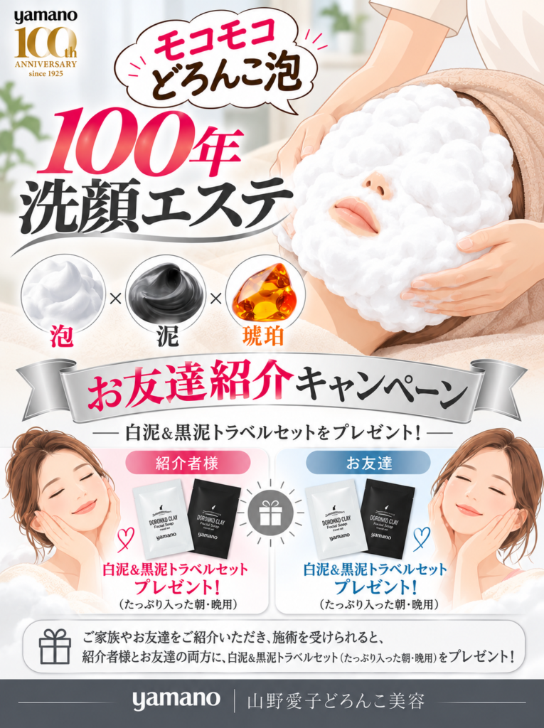 山野愛子どろんこ美容南越谷,洗顔エステ